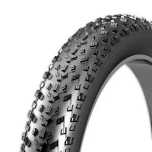 Rexway | Buitenband 20 Inch Fatbike
