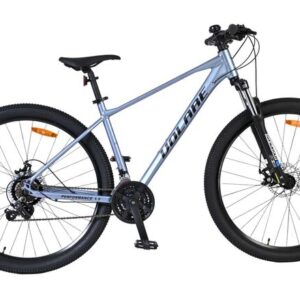 Volare X-Trail MTB - Jongens - 29 inch - L - Grijs - 21 versnellingen